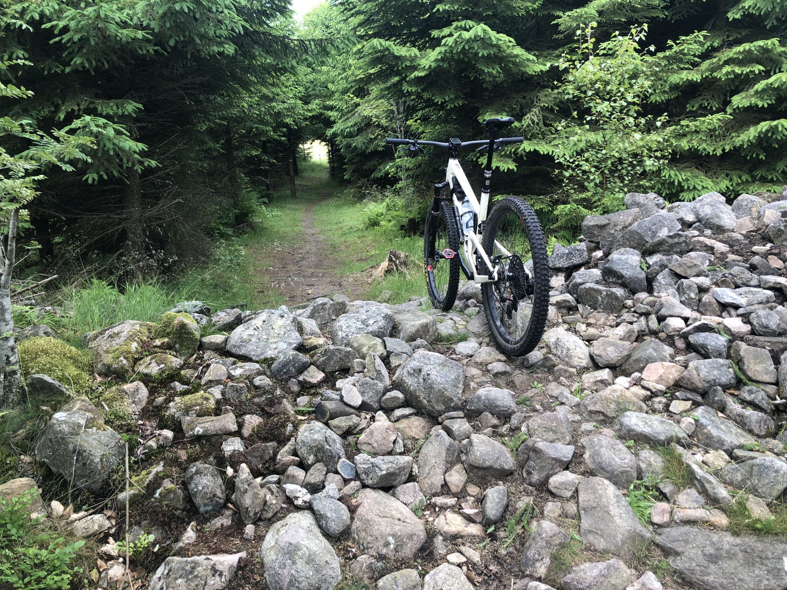 ”Ska du verkligen hålla på med det där fortfarande?” – Tankar om att närma sig 50 på MTB