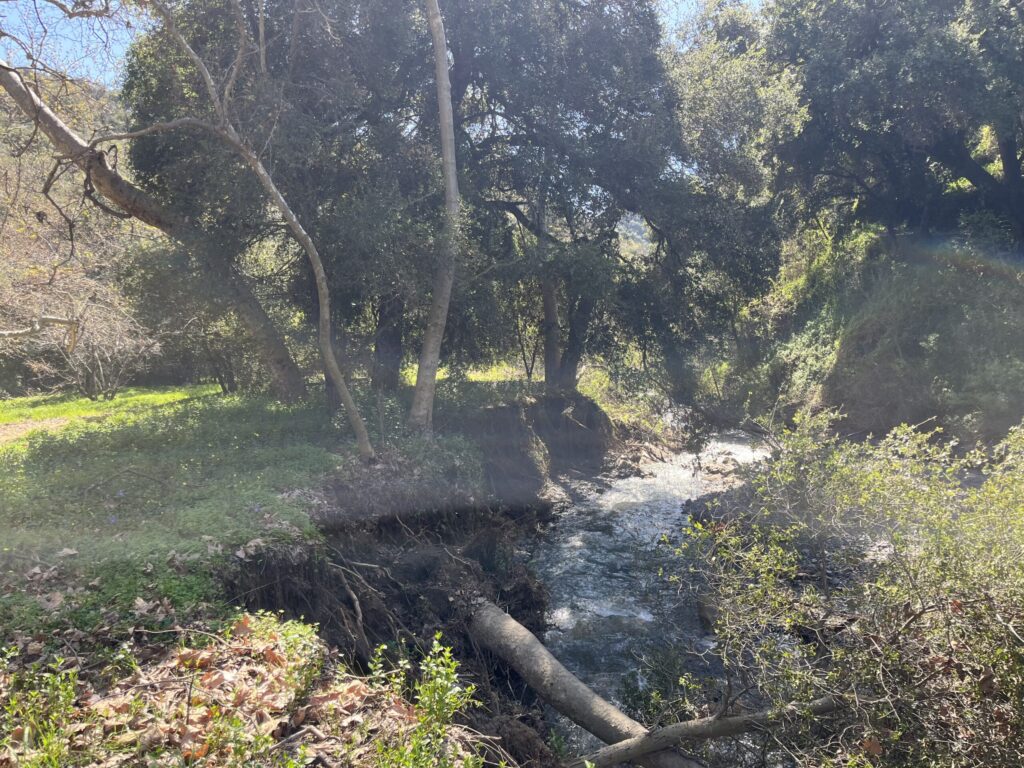 Jobbresa med stigbonus – MTB i Los Angeles
