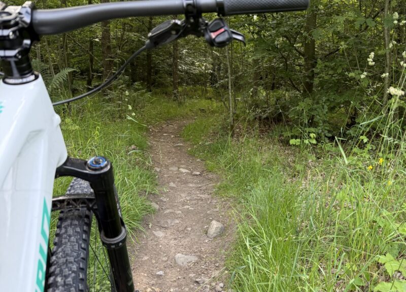 Balans, bokskog och bökiga stenar – MTB i Skrylle