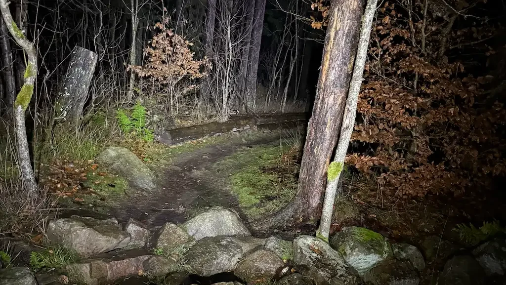 Cykla MTB i mörker – så får du en magisk vinterkväll på stigen