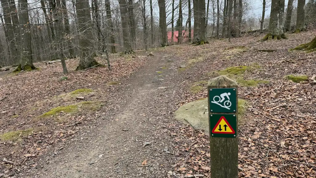Vecka 2 – två misstag och en oväntad förbättring