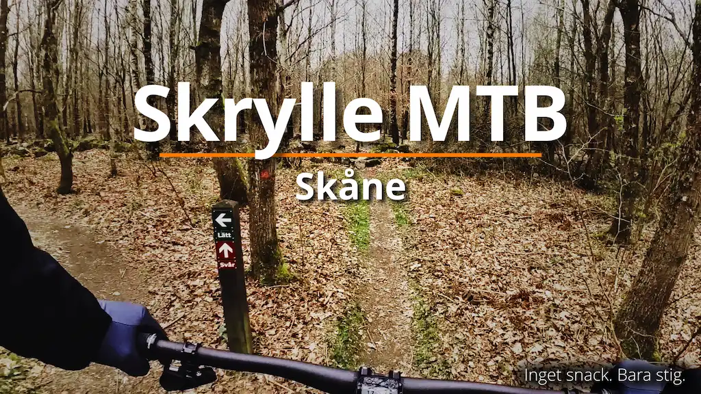 Skrylle MTB – flow, rötter och skånsk skog